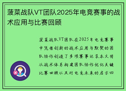 菠菜战队VT团队2025年电竞赛事的战术应用与比赛回顾